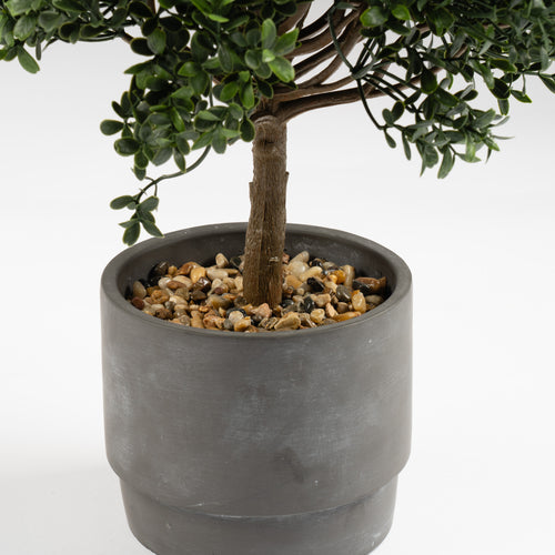 45Cm Mini Topiary Plant In Cement Pot