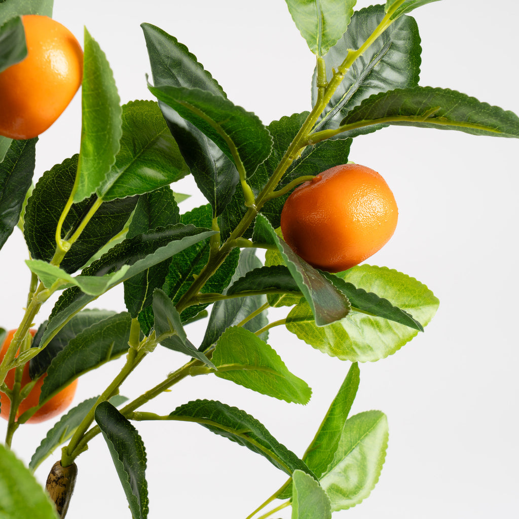 76Cm Orange Tree In Woven Basket
