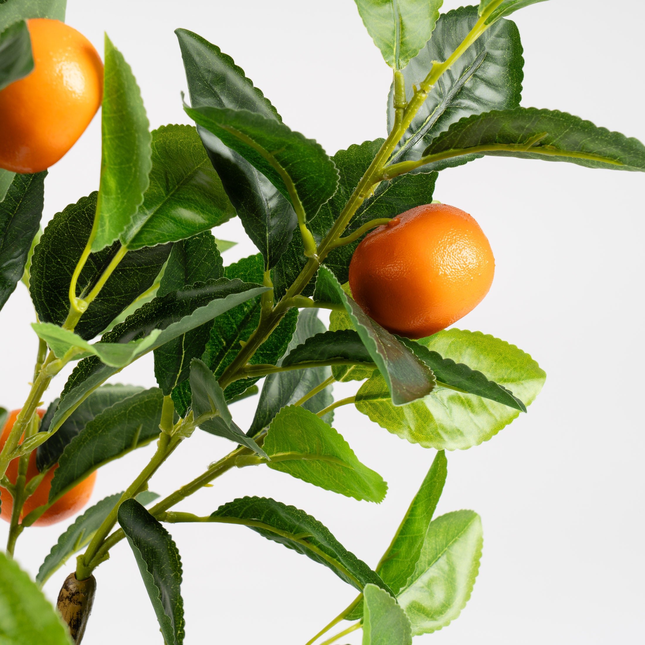 76Cm Orange Tree In Woven Basket