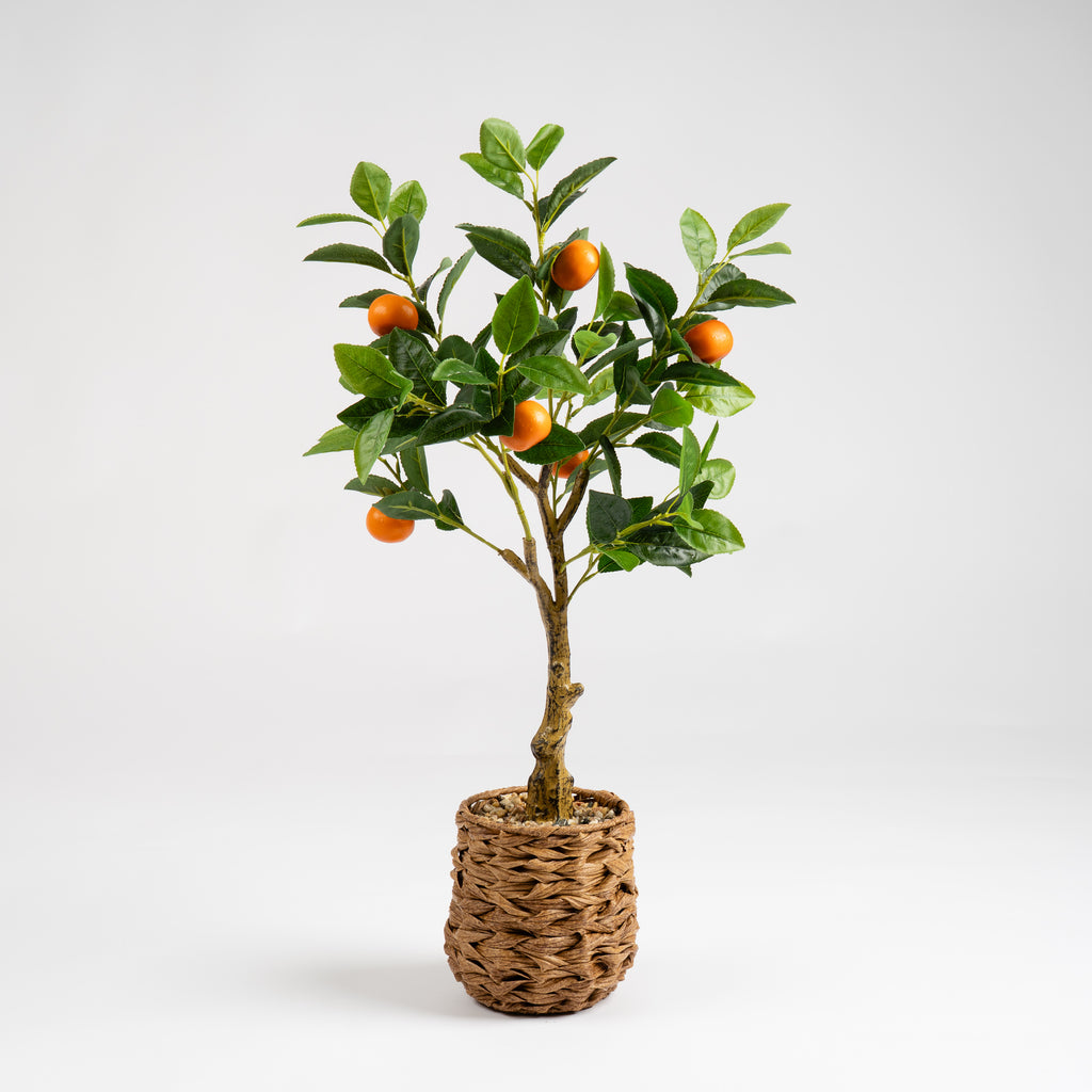 76Cm Orange Tree In Woven Basket