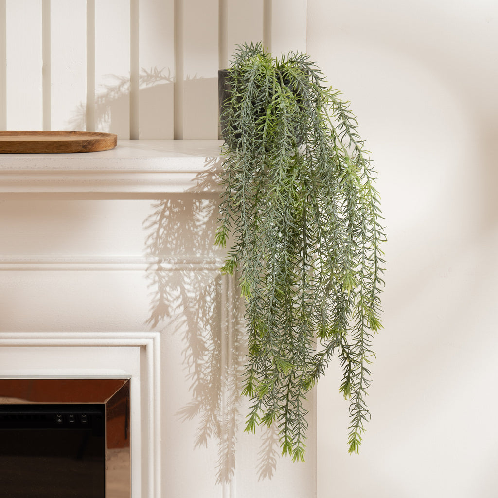43Cm Trailing Plant In Rustic Cement Pot
