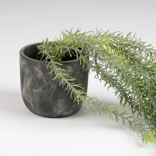43Cm Trailing Plant In Rustic Cement Pot
