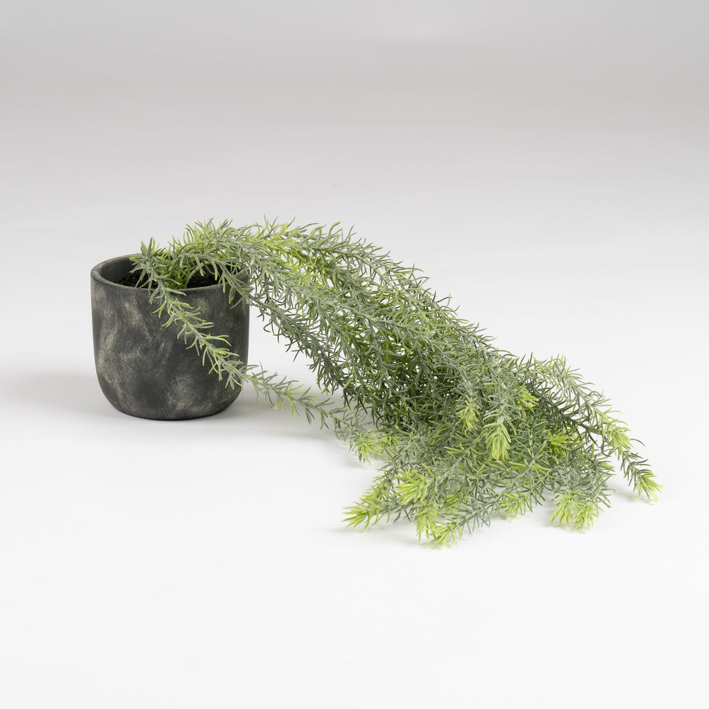 43Cm Trailing Plant In Rustic Cement Pot