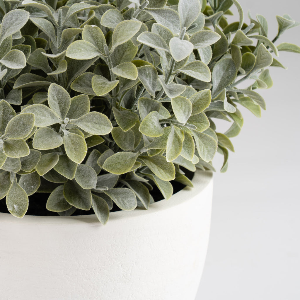 37Cm Foliage In Footed Pot