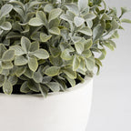 37Cm Foliage In Footed Pot