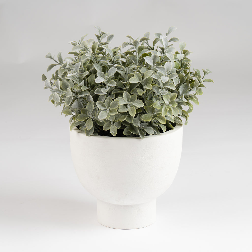 37Cm Foliage In Footed Pot