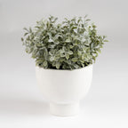 37Cm Foliage In Footed Pot
