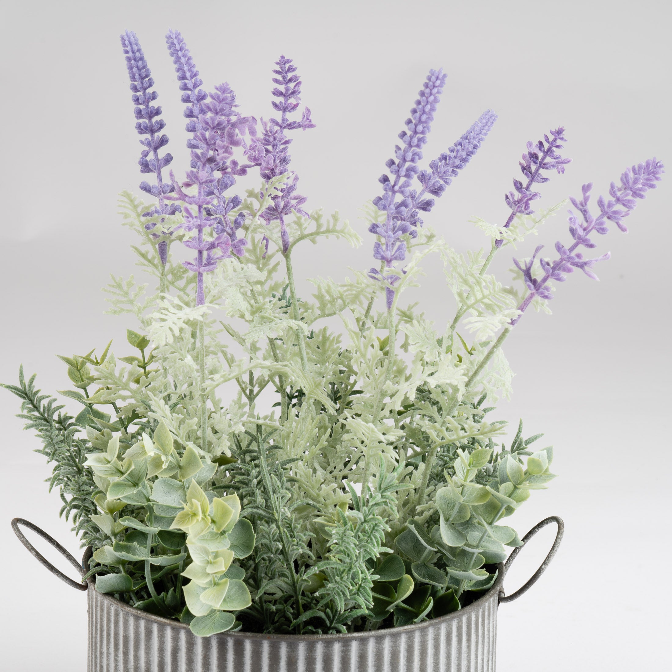 37.5Cm Lavender In Iron Pot