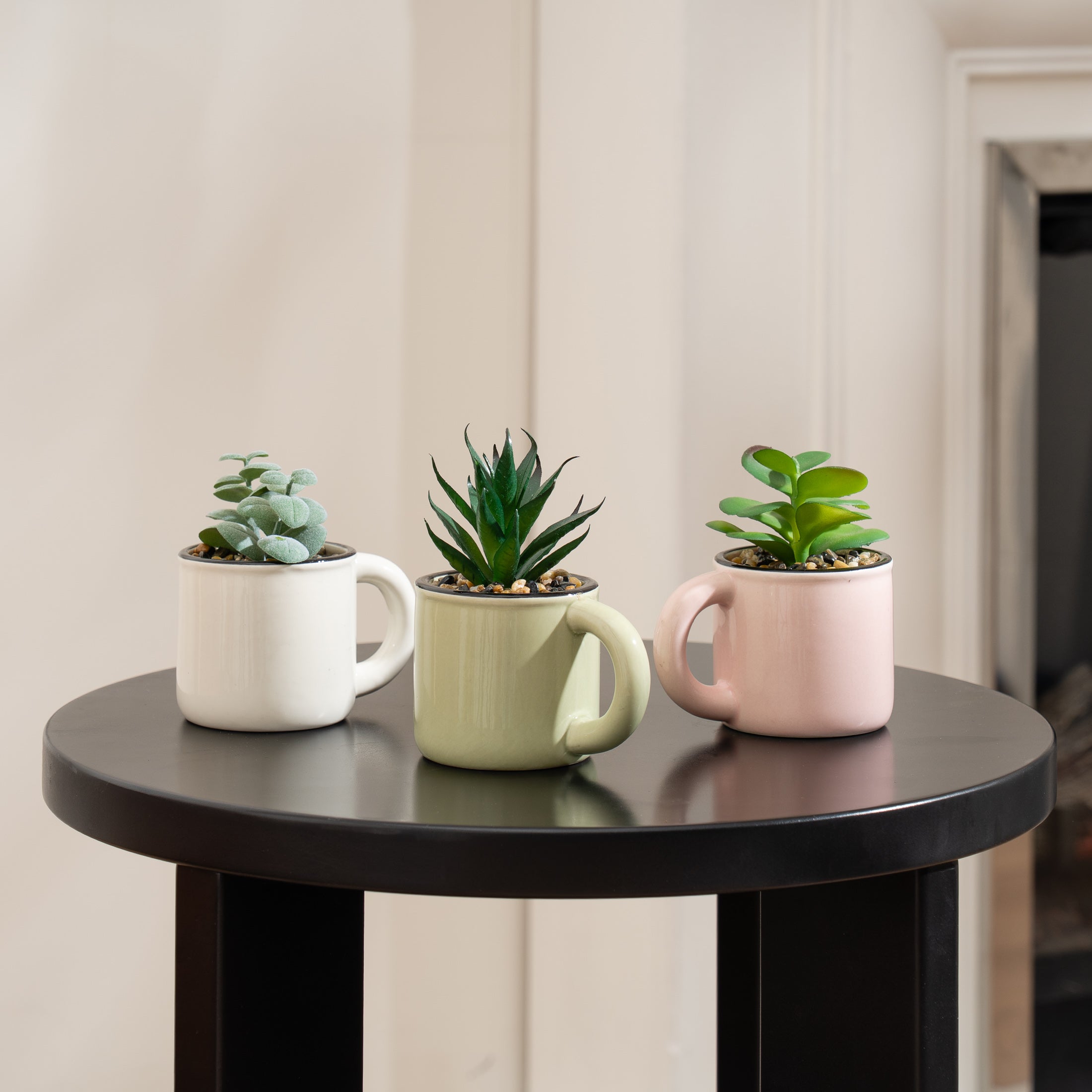 Set Of 3 Succulent Cups