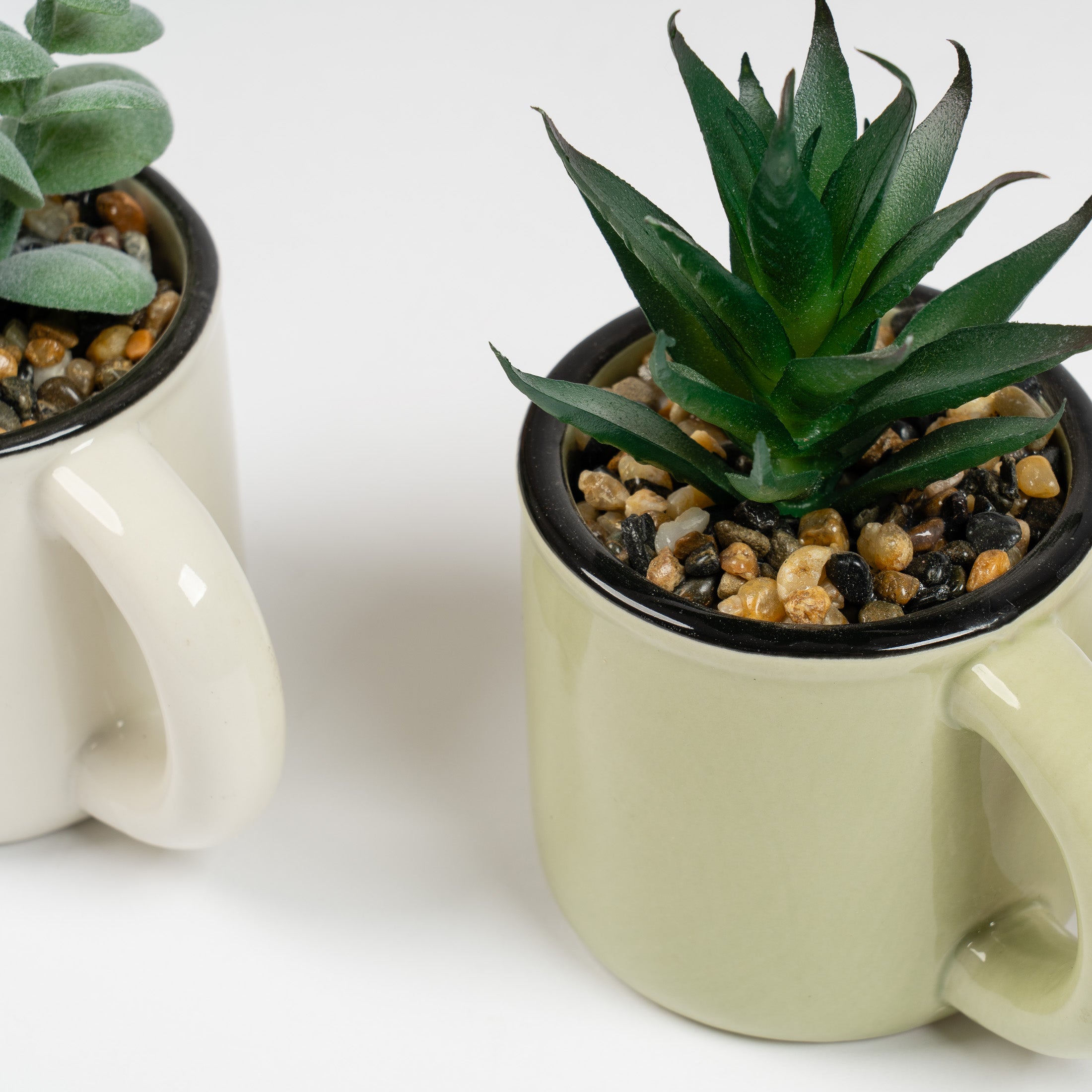 Set Of 3 Succulent Cups