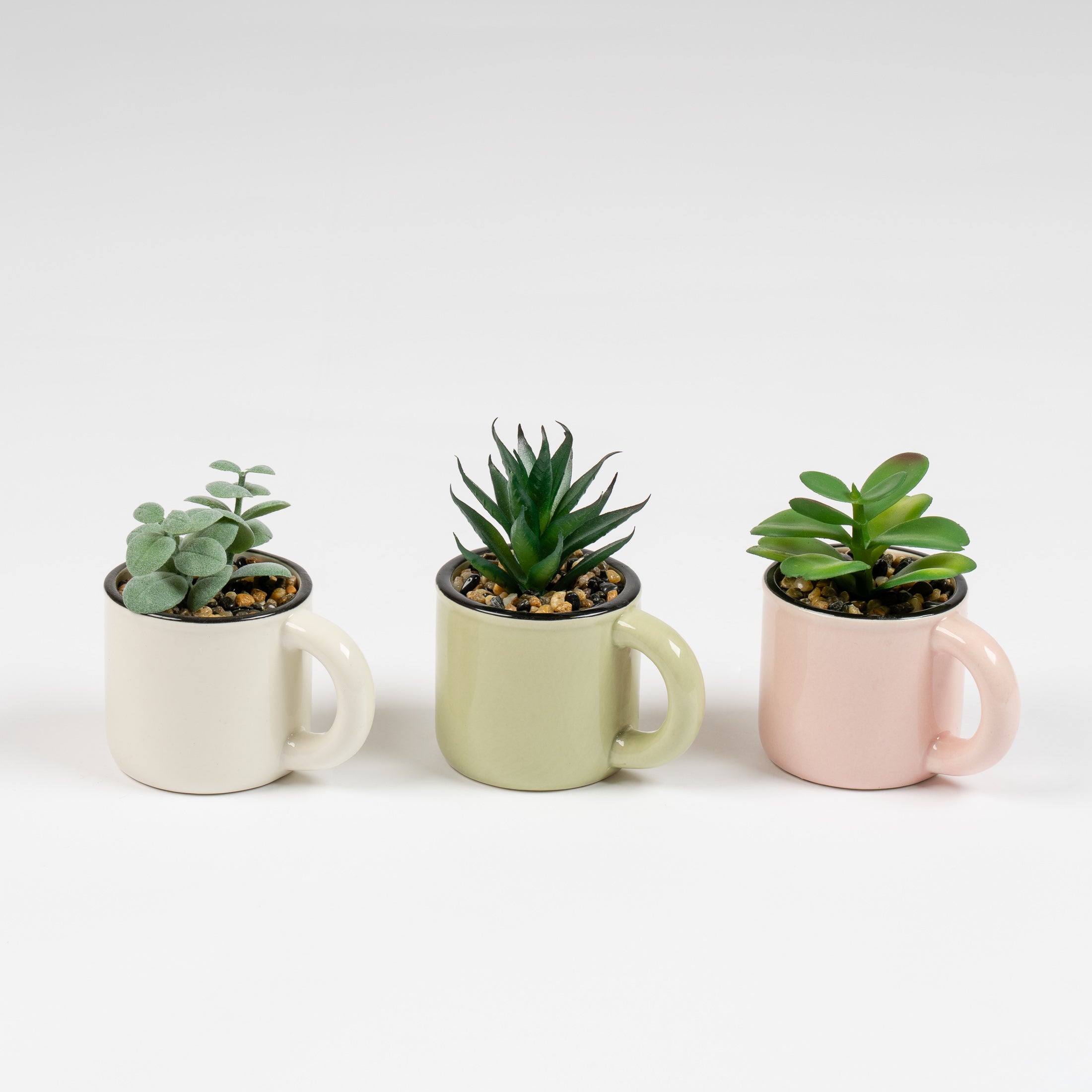 Set Of 3 Succulent Cups
