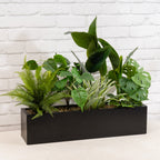 65Cm Mixed Outdoor Container