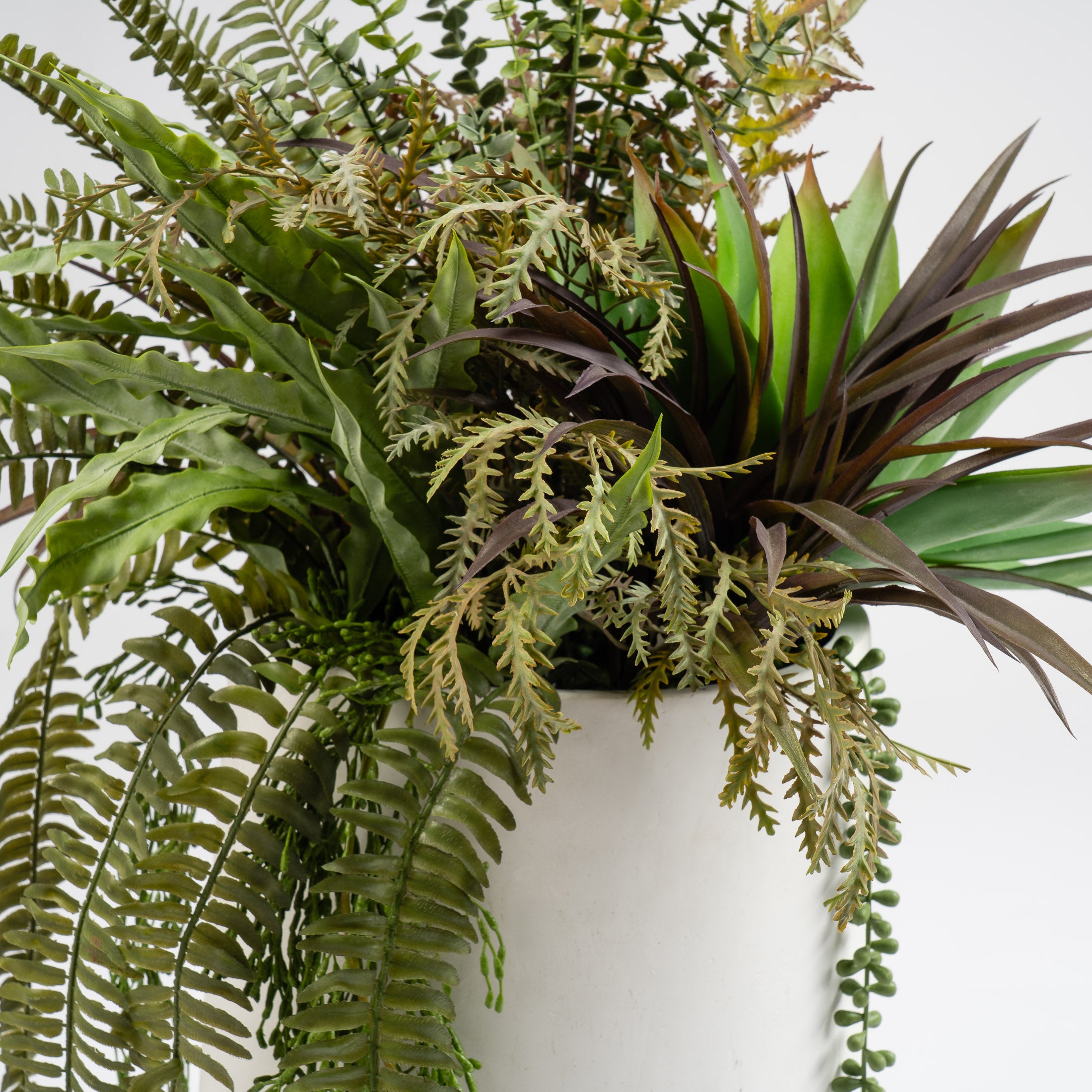 90cm Fern/Agave Mixed Container