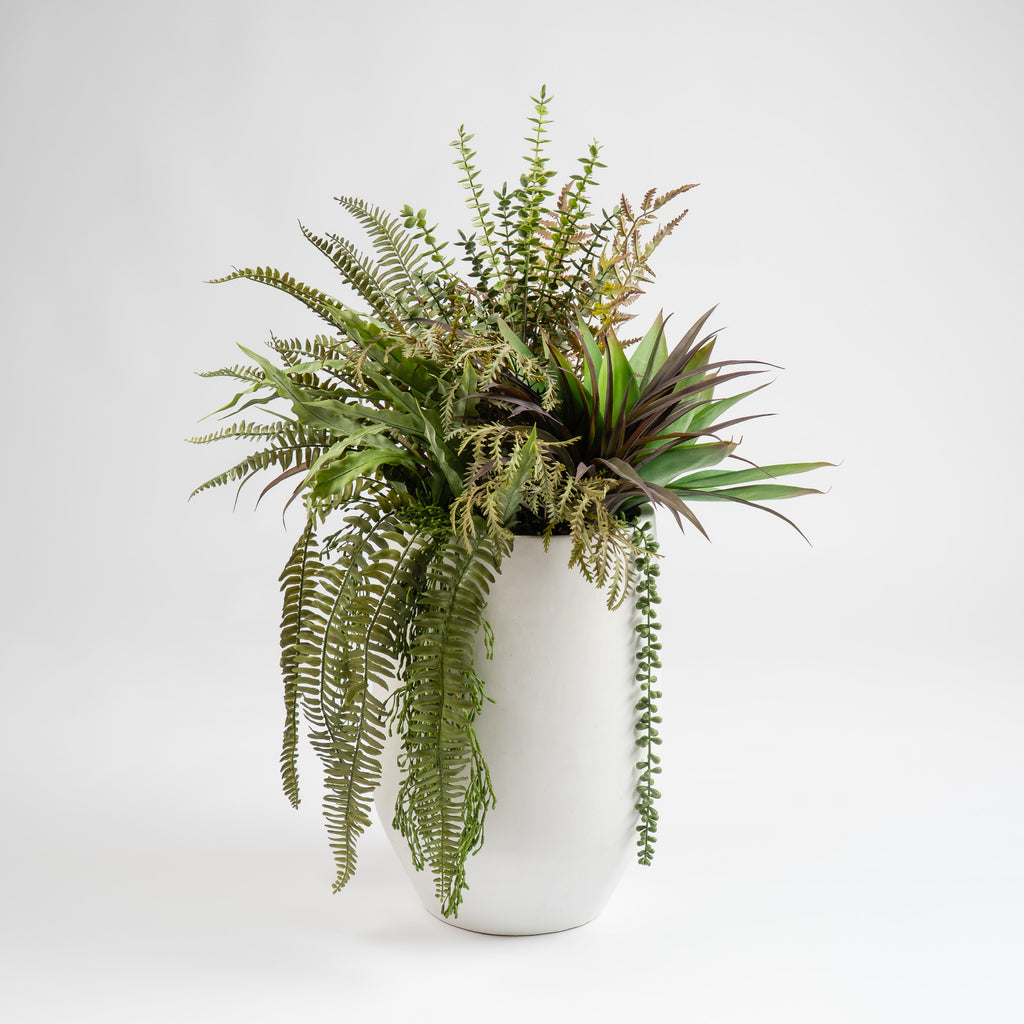 90cm Fern/Agave Mixed Container