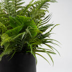 102cm Mixed Fern Container Black