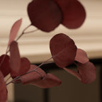 Eucalyptus Bunch 60G Dark Red