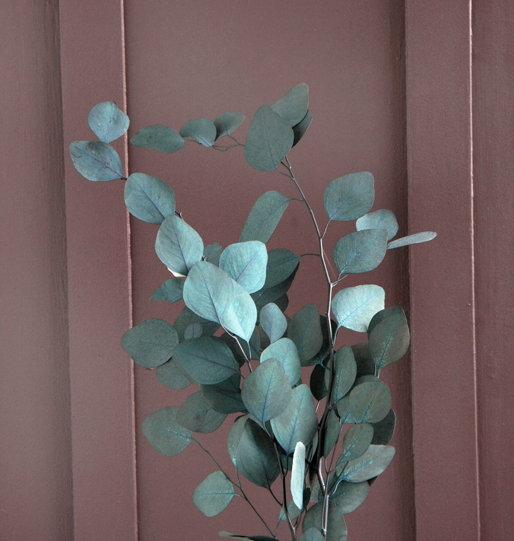 Eucalyptus Bunch 60G Teal