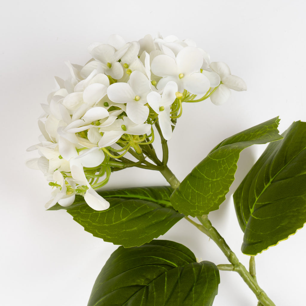 64Cm Hydrangea Stem Pack 3