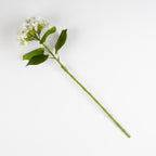 64Cm Hydrangea Stem Pack 3