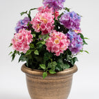 55Cm Pink/Purple Hydrangea In Pot