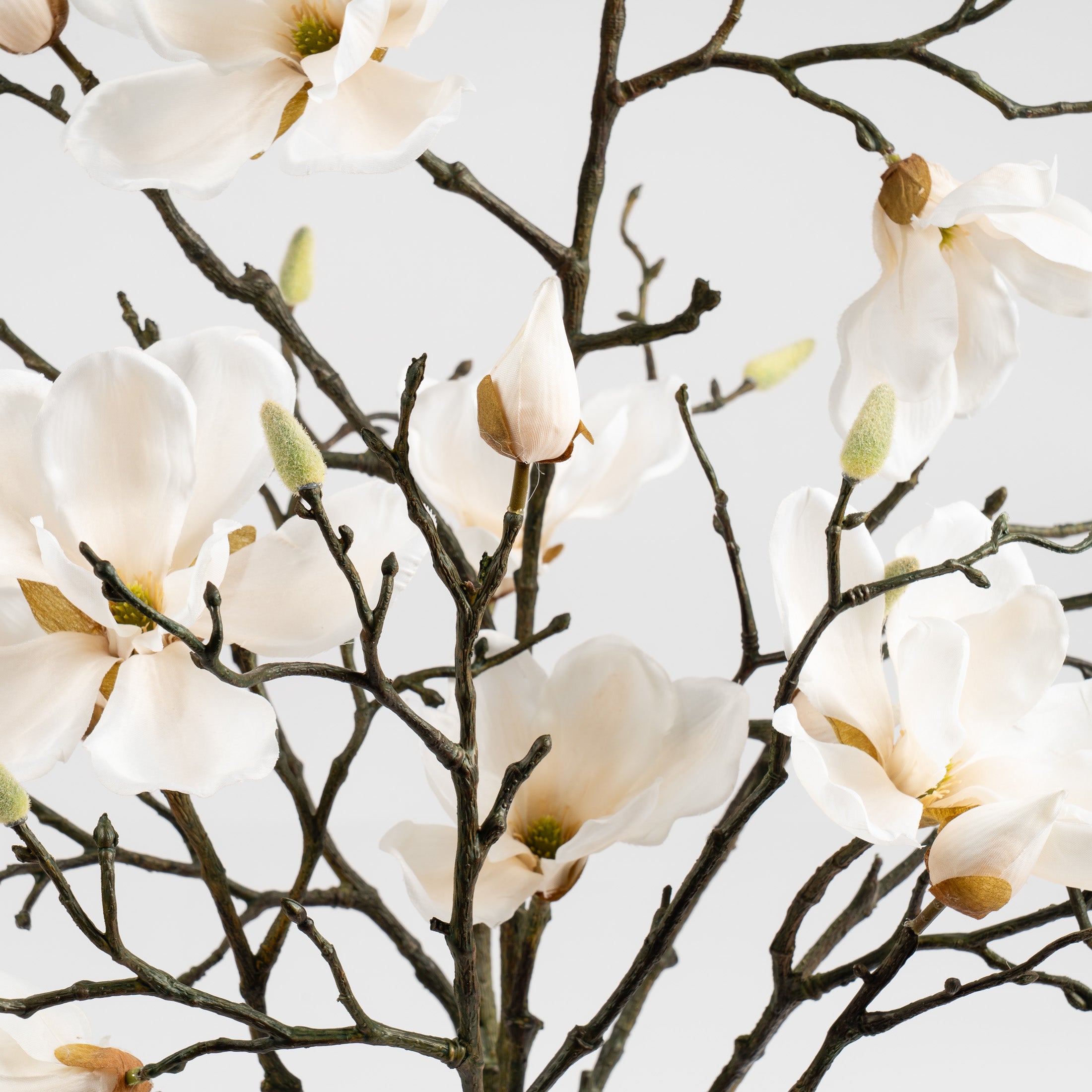 71Cm Magnolia In Resin Pot