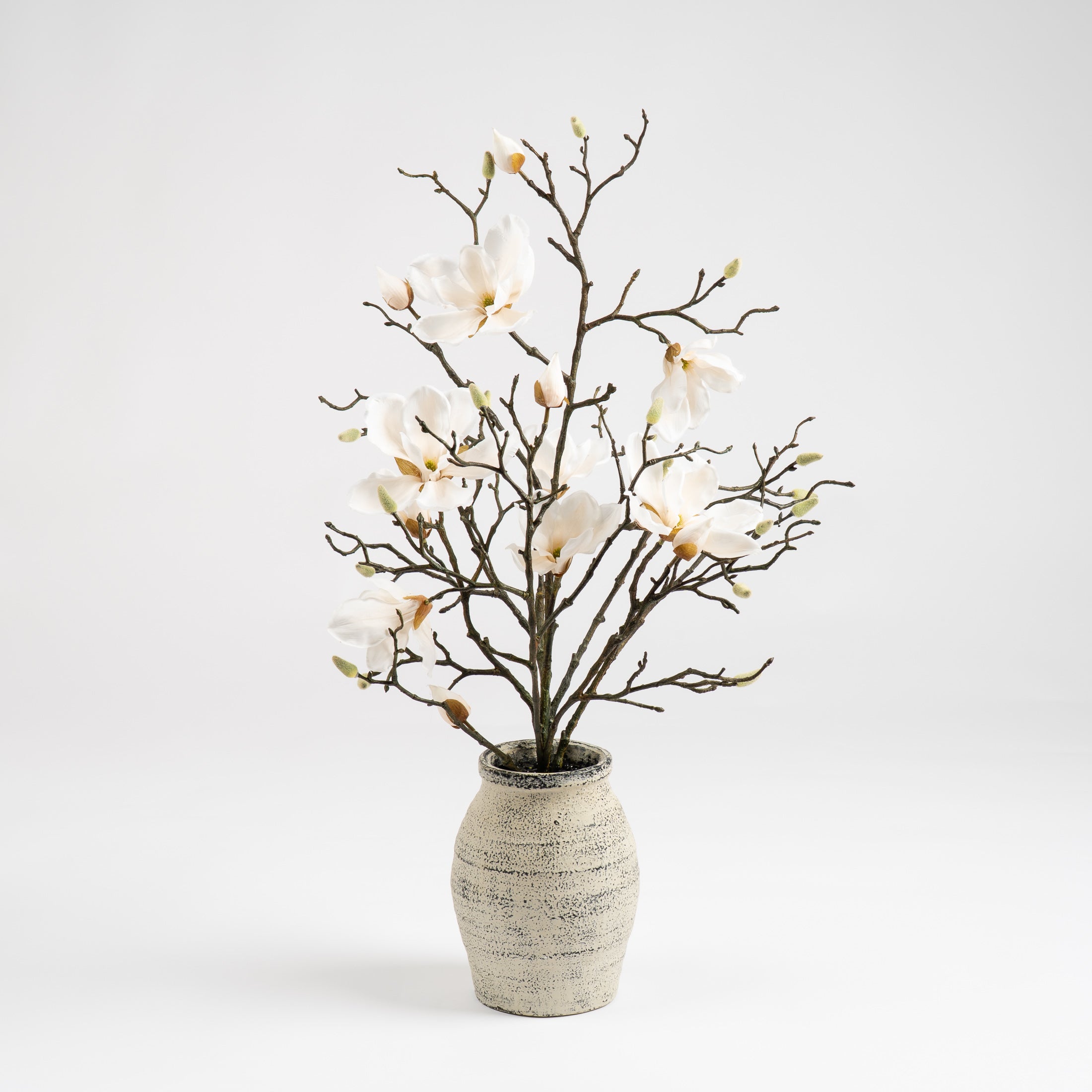 71Cm Magnolia In Resin Pot