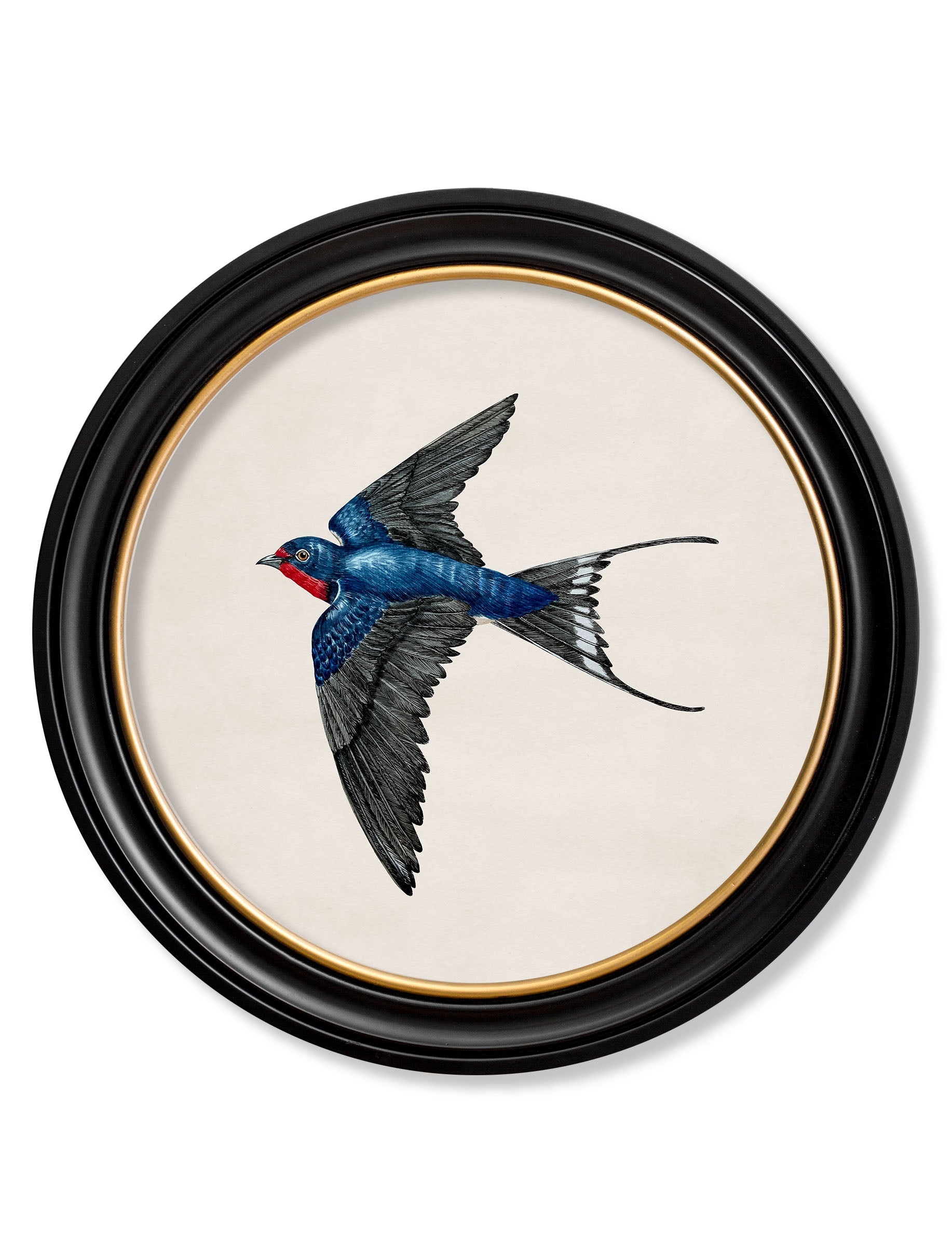 c.1875 Swallows in Round Frames