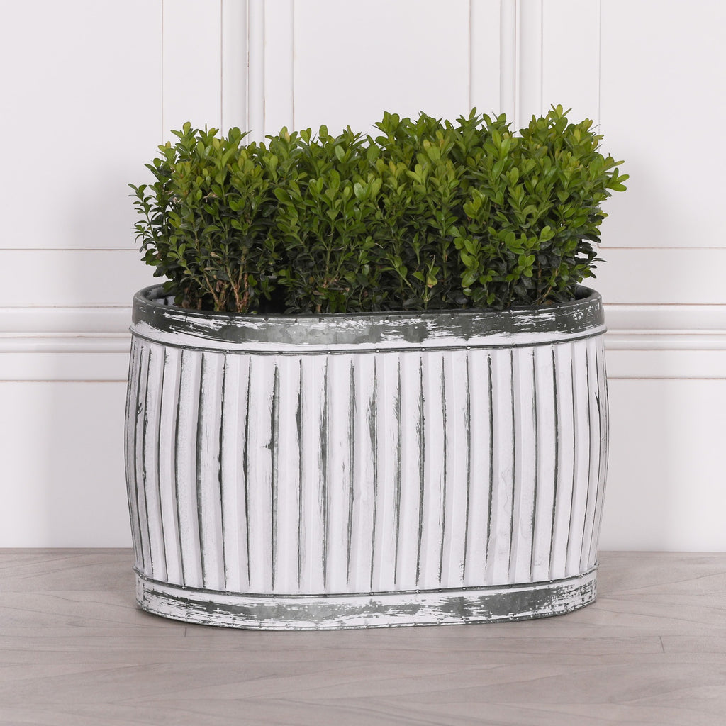Dolly Tub Oval Metal Planter - Medium