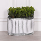 Dolly Tub Oval Metal Planter - Medium
