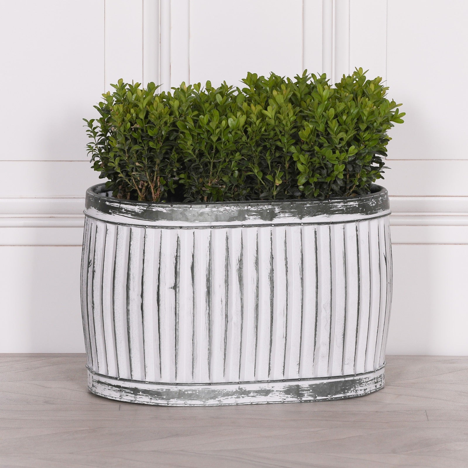 Dolly Tub Oval Metal Planter - Medium
