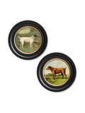 c.1881 Terriers - Round Frame