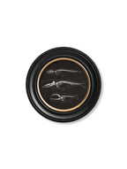 c.1870 Anatomical Skeletons - Dark - Round Frames