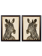 c1890 Zebra Illustrations - Dark