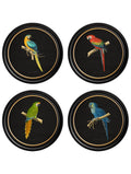 C.1884 Collection of Macaws in Round Frames - Black