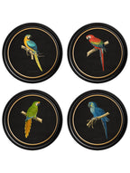 C.1884 Collection of Macaws in Round Frames - Black