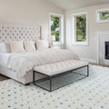 Ariana 080x150cm AR02 Dotty Multi Rug