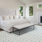 Ariana 080x150cm AR02 Dotty Multi Rug