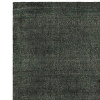 Aston 200x290cm Green Rug Rug