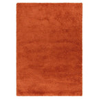Atlas 160x230cm Orange Rug