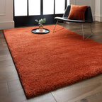 Atlas 200x290cm Orange Rug