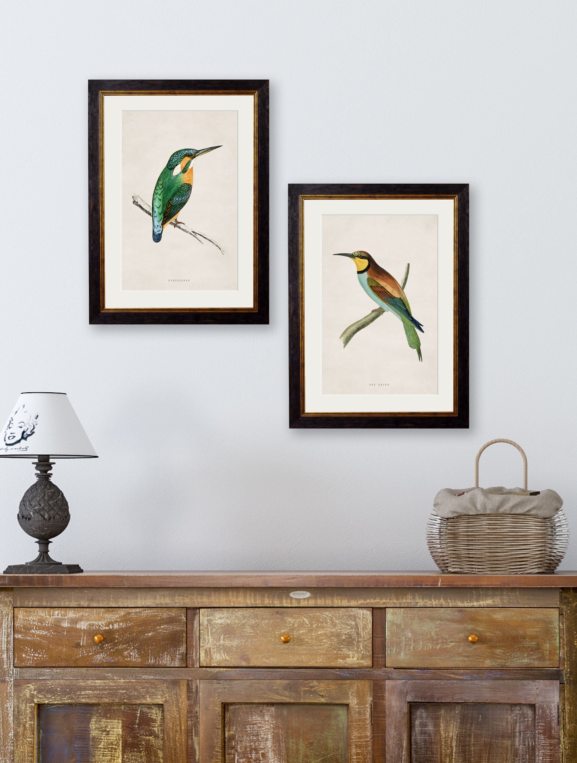 c.1870 Kingfisher & Bee Eater
