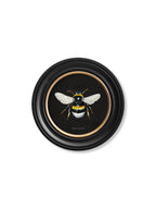 c892 British Bees Round Frame - Dark
