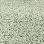 Como 160x230cm Sage Rug