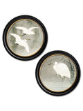 c.1910 Little Egrets - Ohara Koson in Round Frames