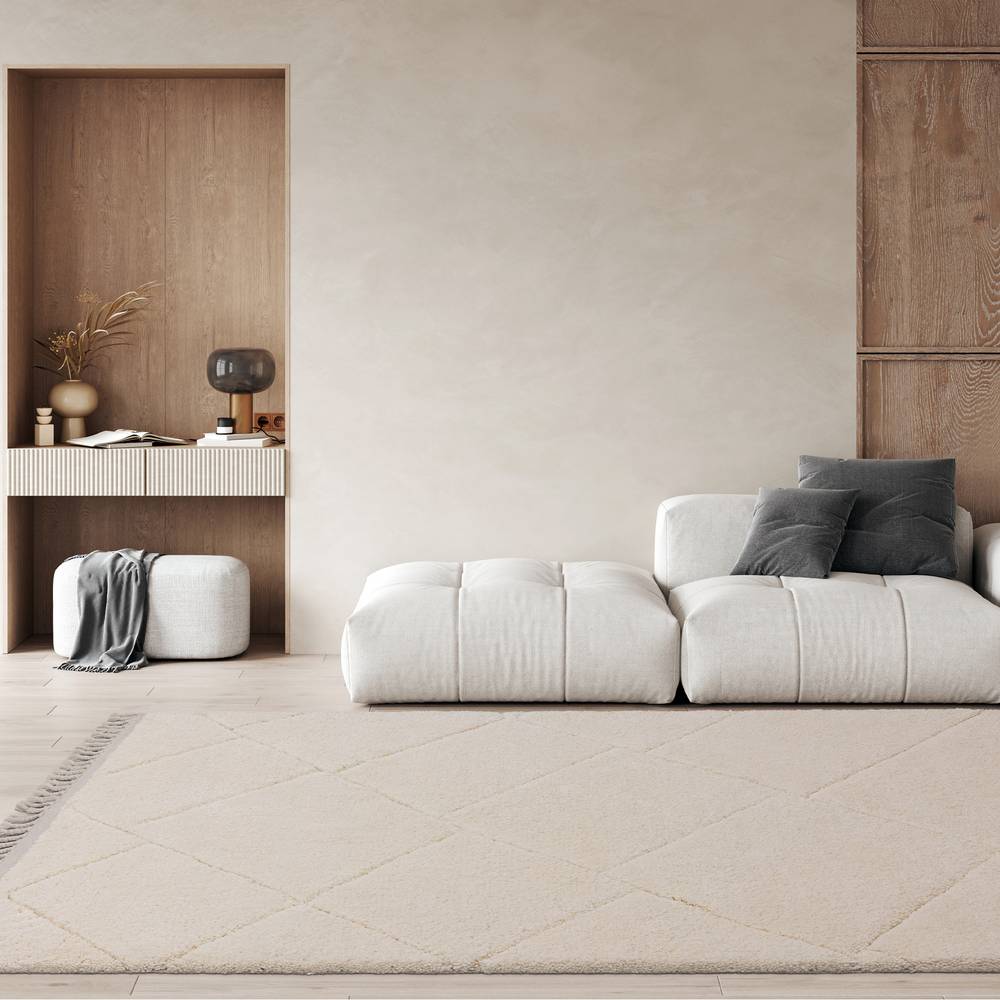 Fes 120x170cm FE01 Rug