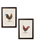 c.1838 Junglefowl