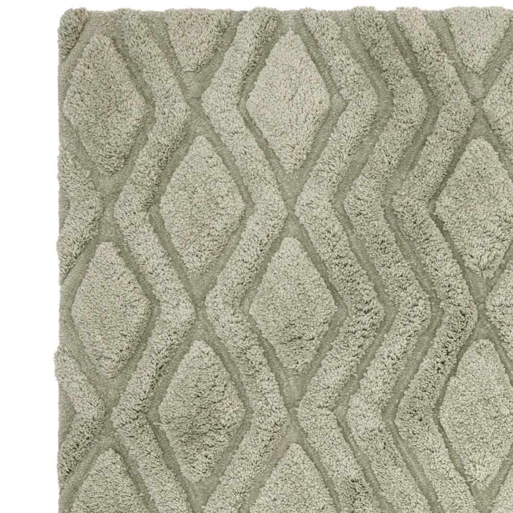 Harrison 120x170cm Sage Rug Rug