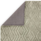 Harrison 200x290cm Sage Rug Rug