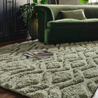 Harrison 120x170cm Sage Rug Rug