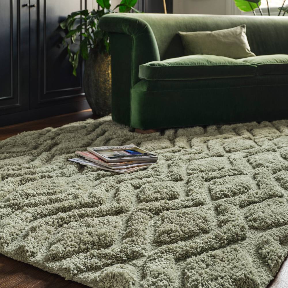 Harrison 200x290cm Sage Rug Rug